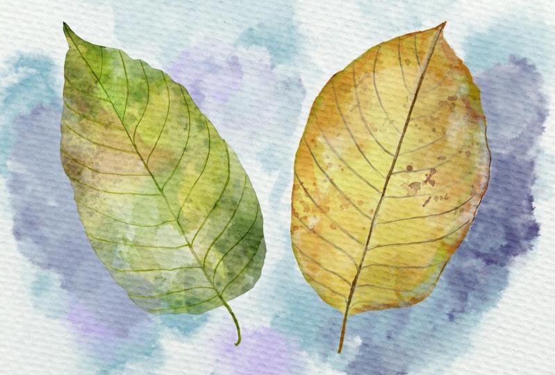 Leaf project