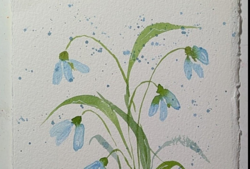 Snowdrops with Nina