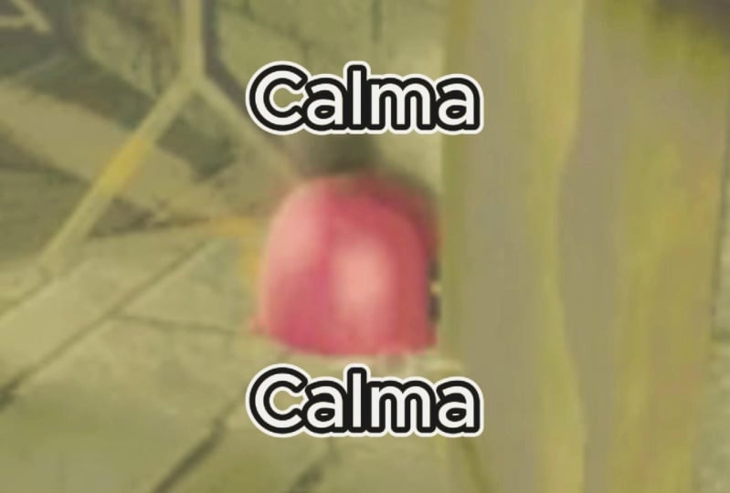 Brazilean Gaming