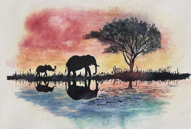 Sunset Elephants
