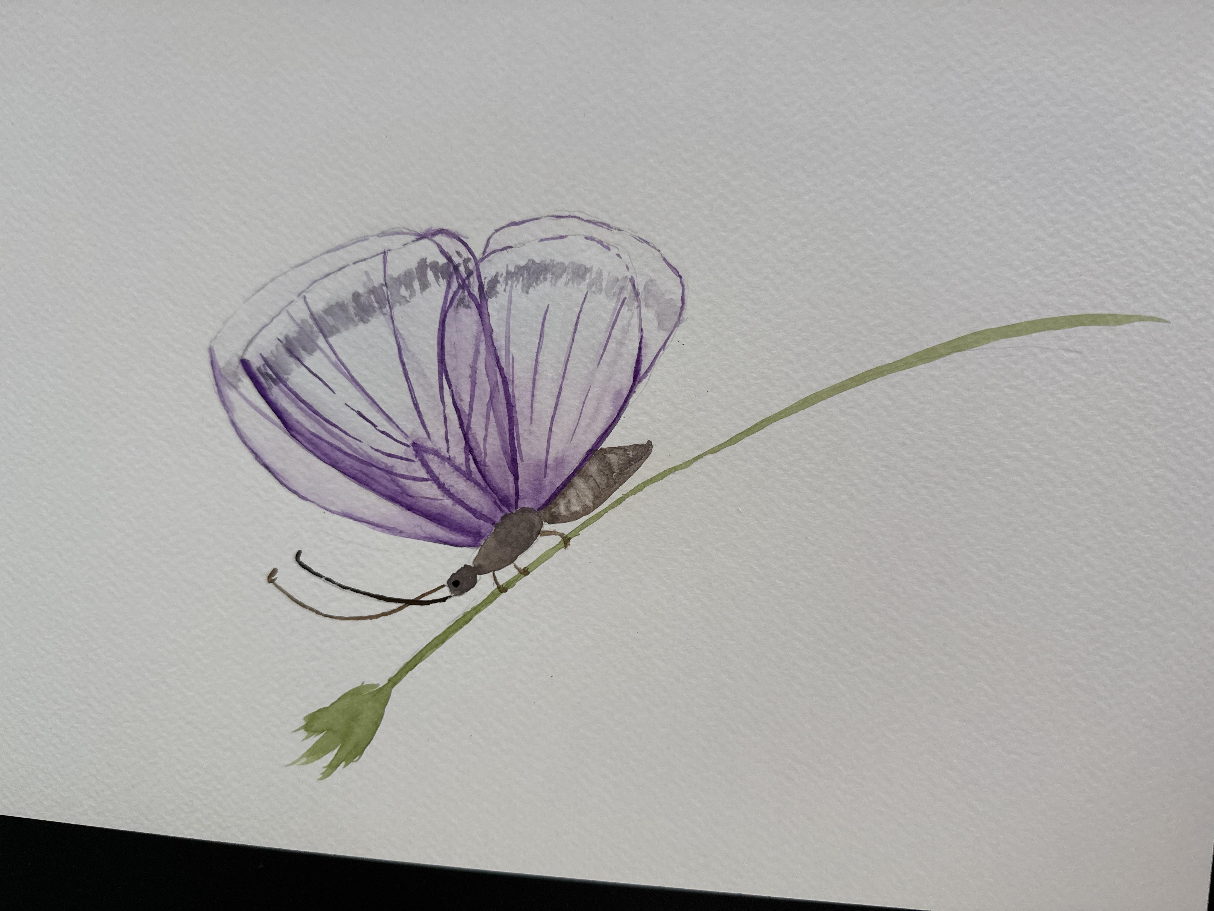 Transparent butterfly - student project