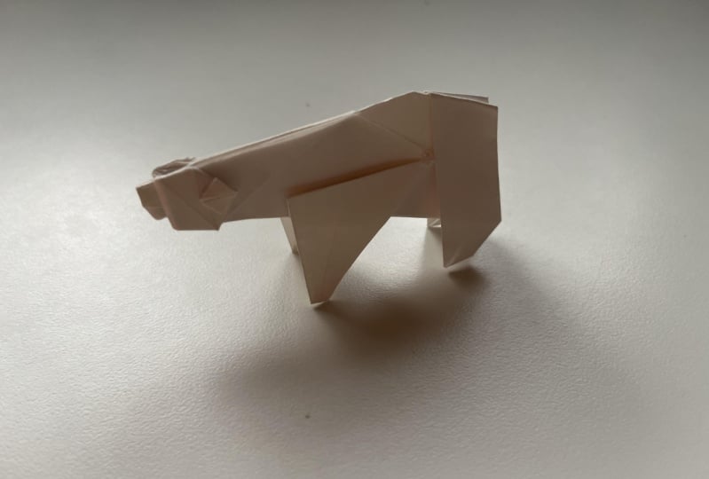 Polar bear