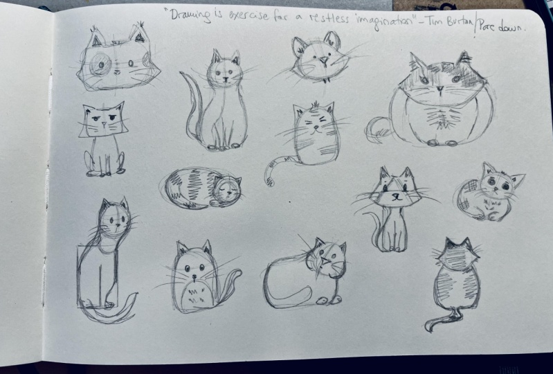 My little cat's sketches!