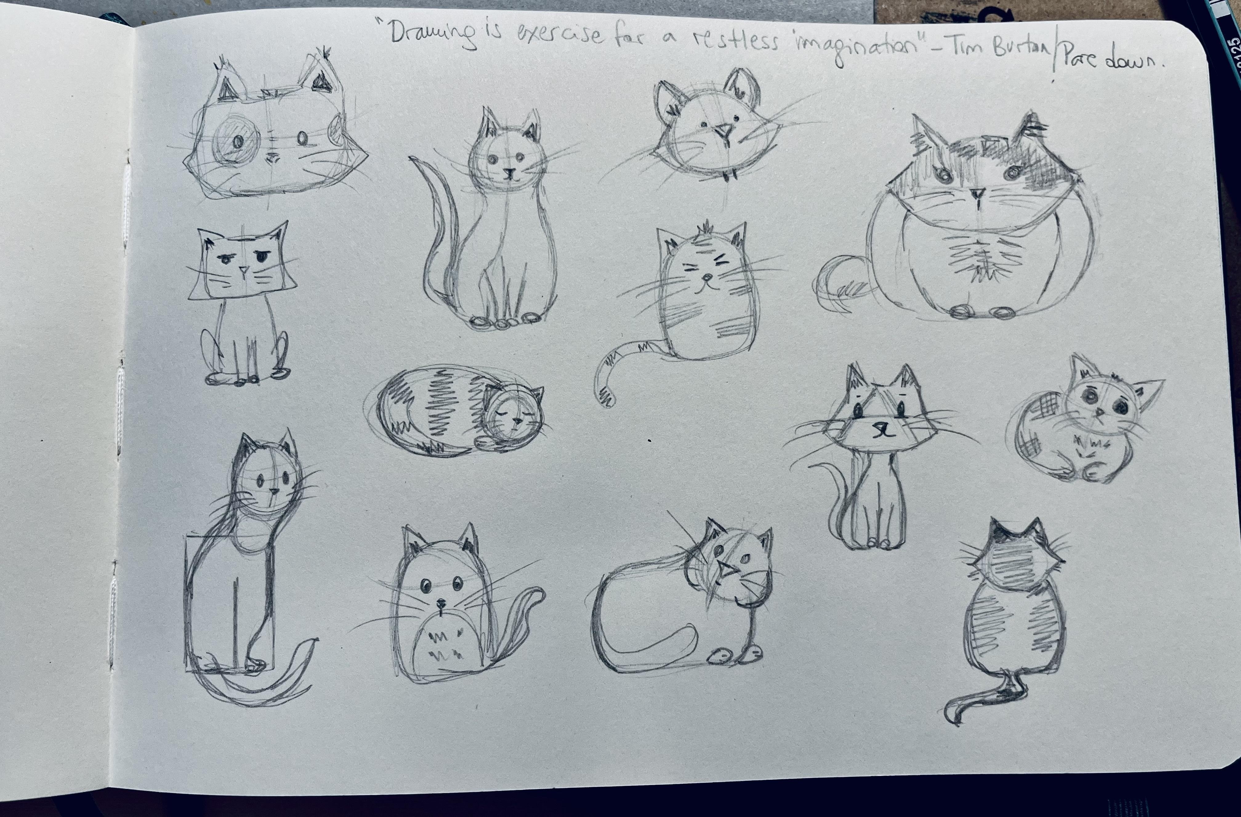 more-projects-from-class-img