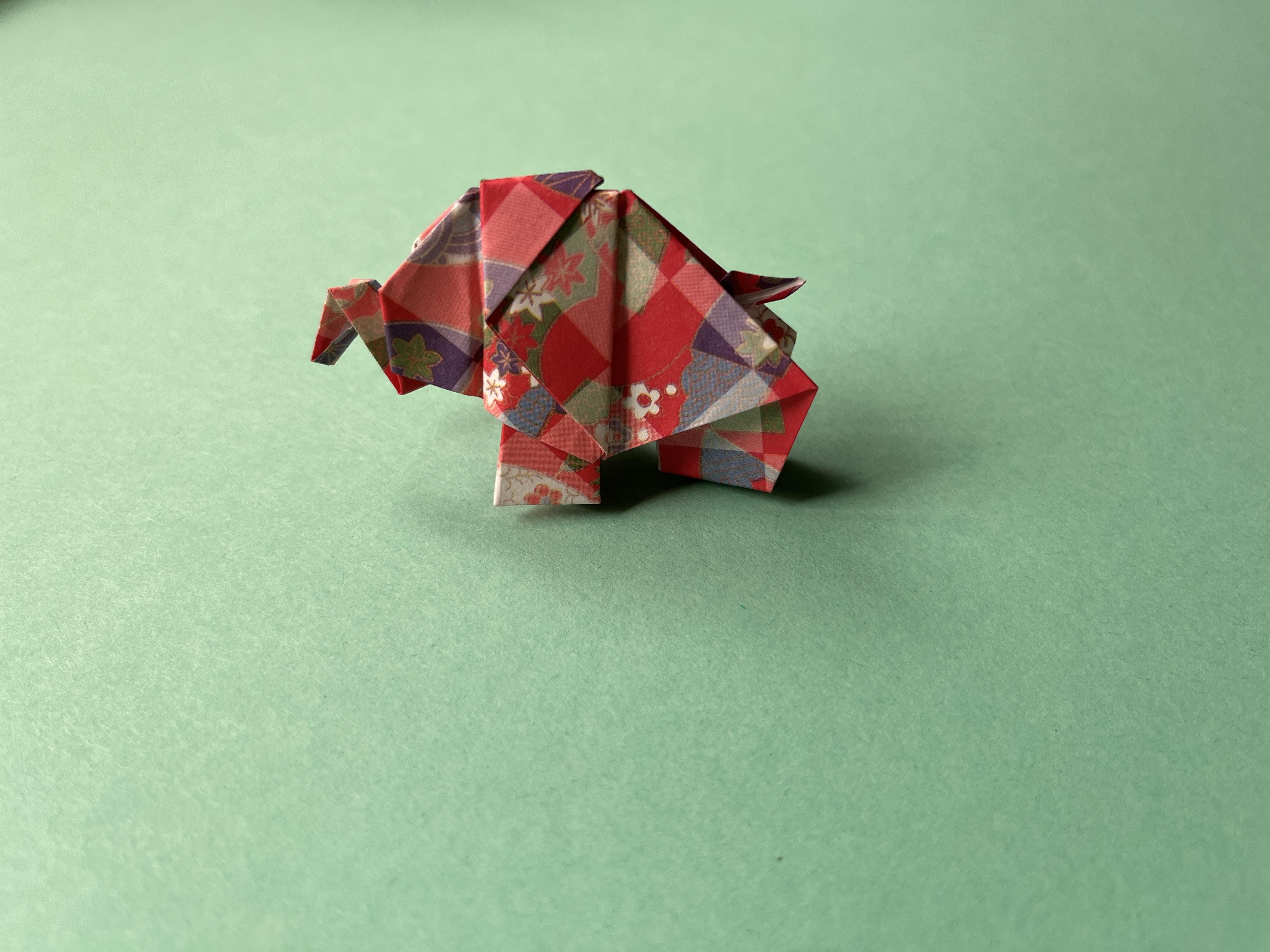 Elephant - student project