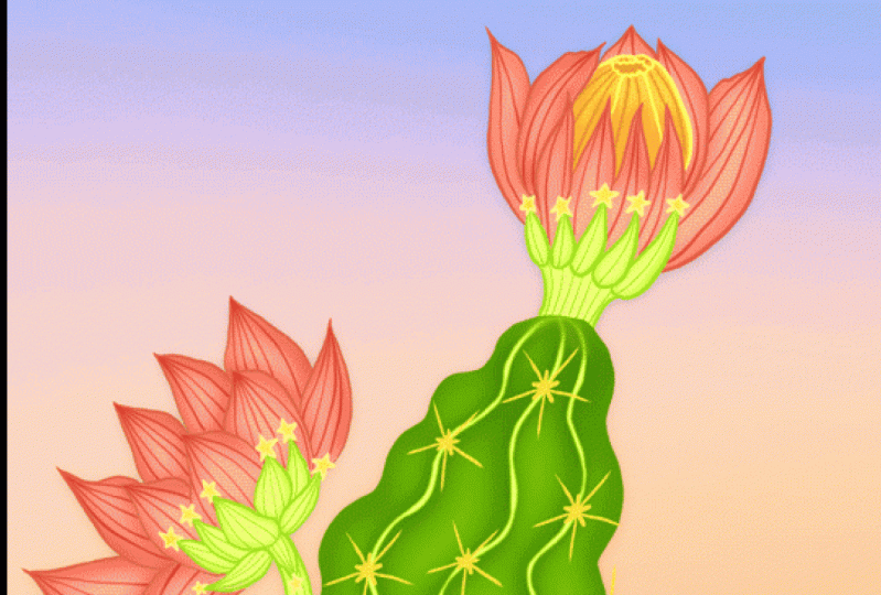 Loop animation: Cactus to ice cream