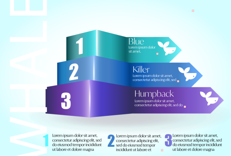 Infographic