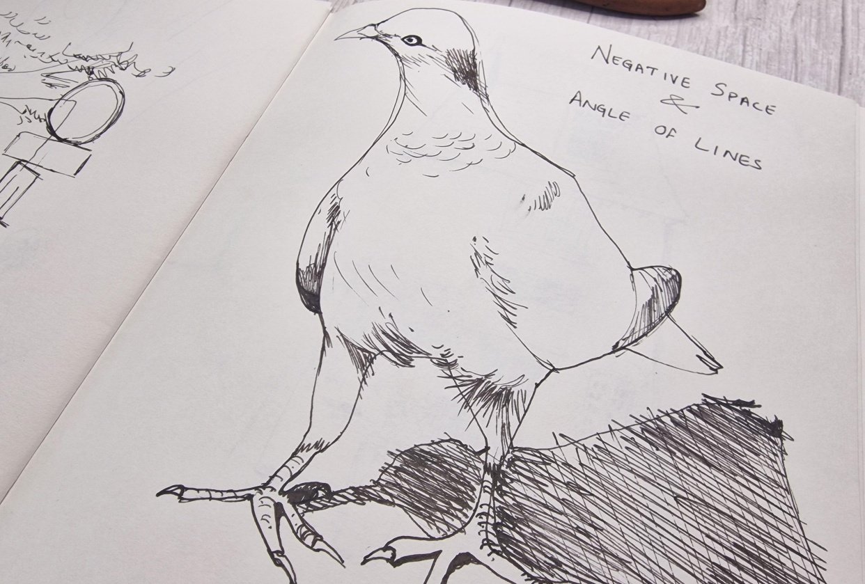 Sketches From A Daily Routine Of Sketching Daily - student project