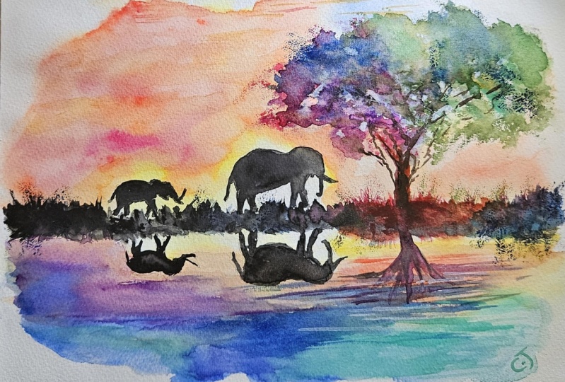 Sunset safari