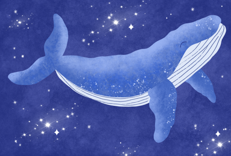 Dreamy Whale