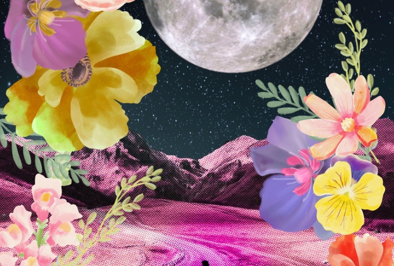 night bloom