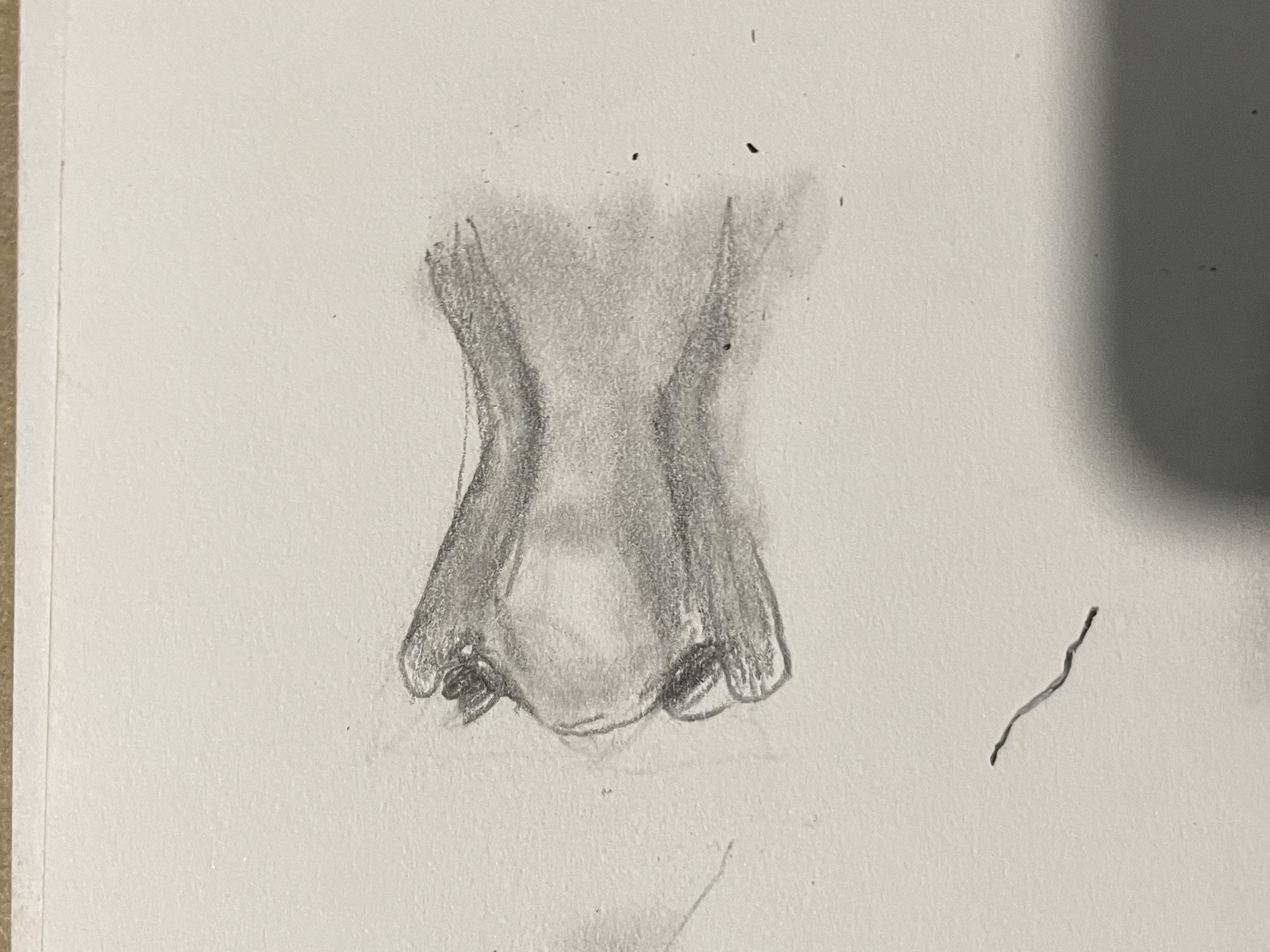 cover_full_aee2dec7885681ee2af