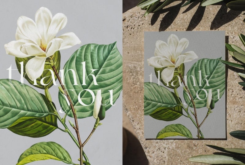Botanical Design Exploration