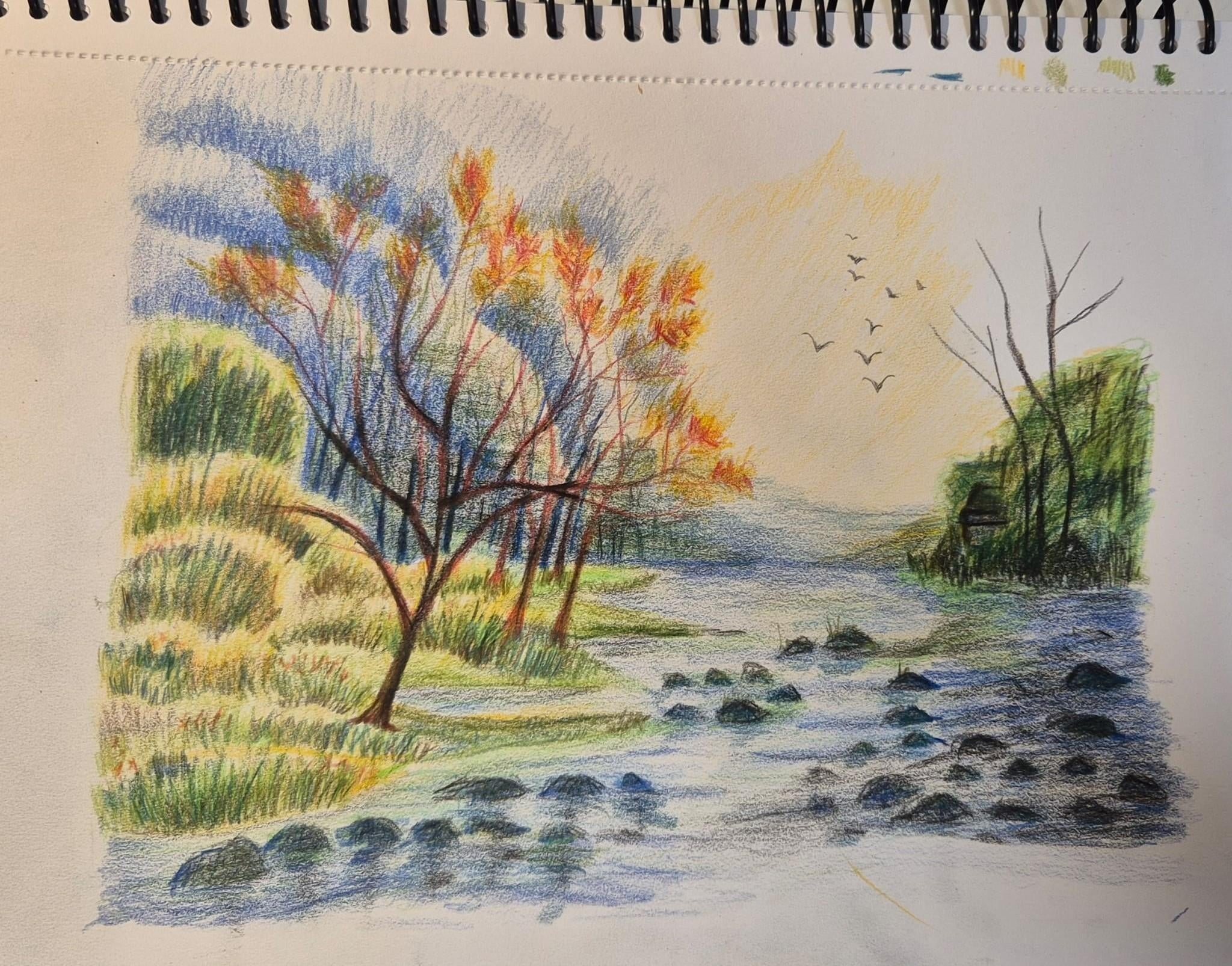 landscape - student project