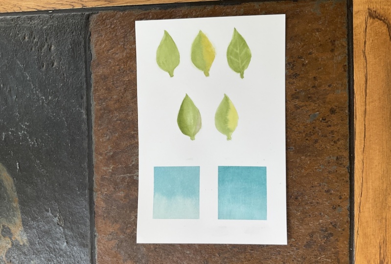 Watercolor techniques