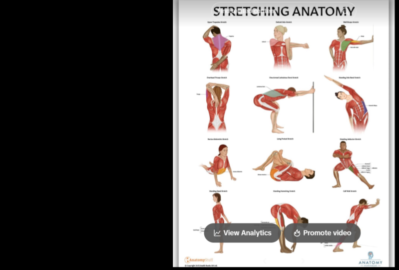 Stretching For Success