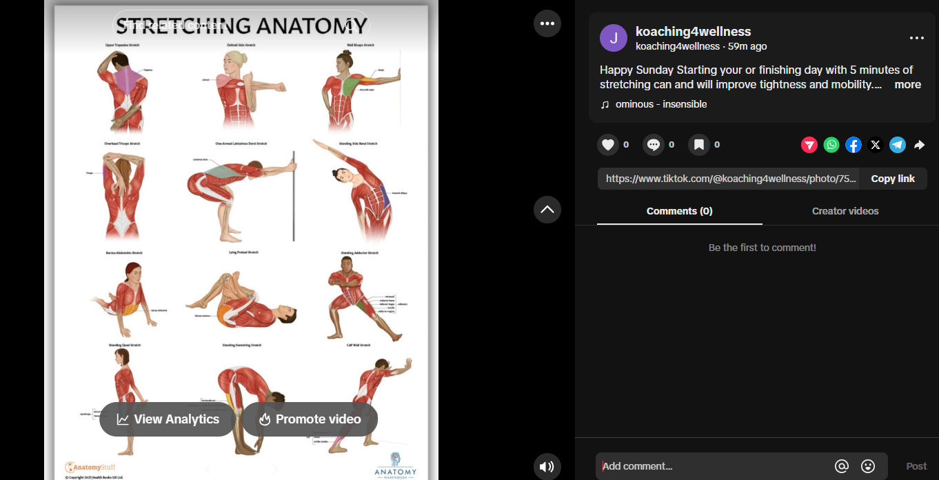Stretching For Success - student project