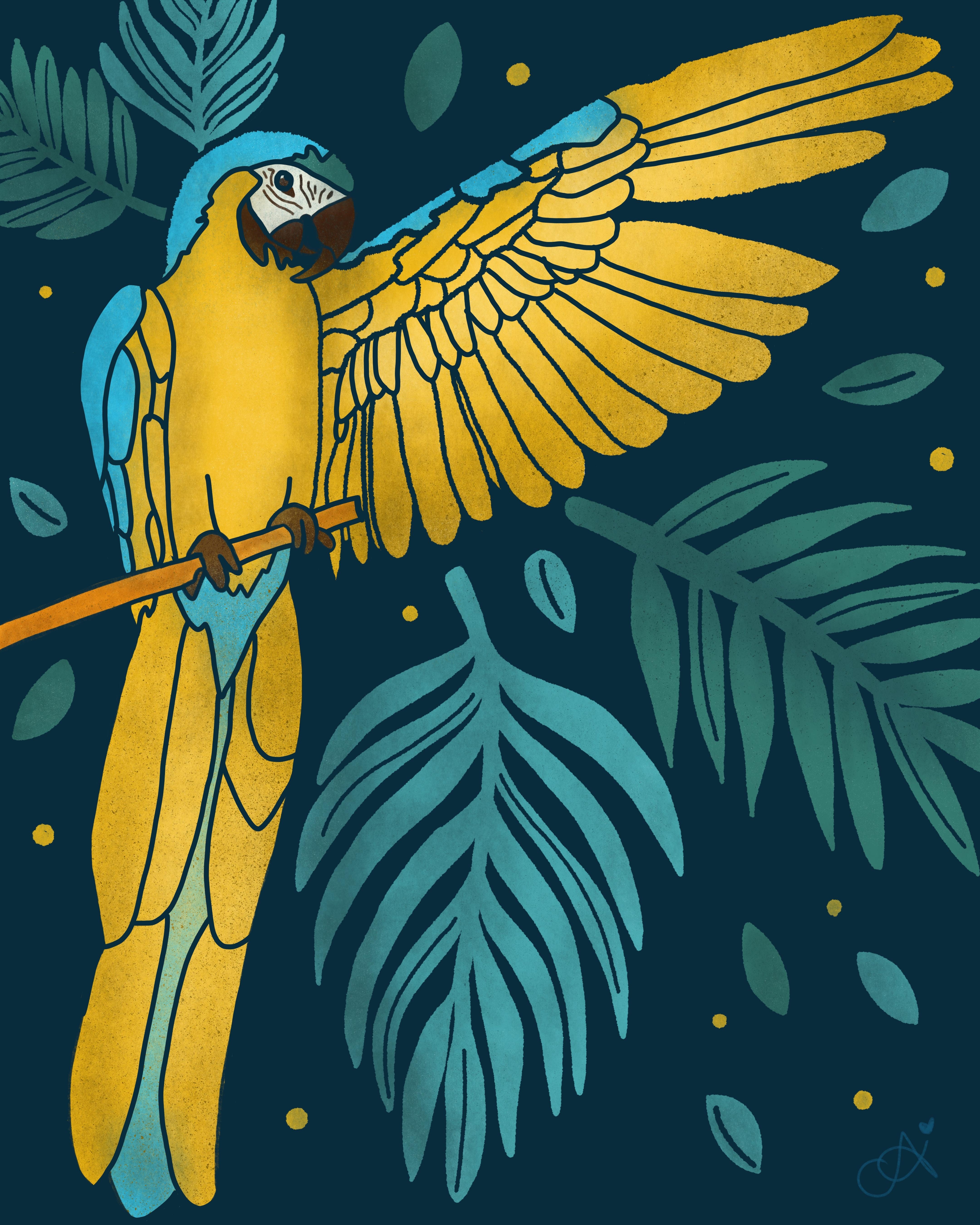 more-projects-from-class-img