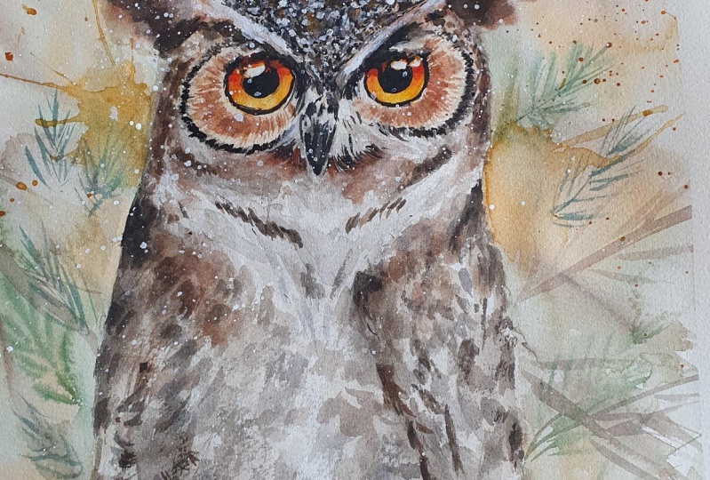 Cute owl :)