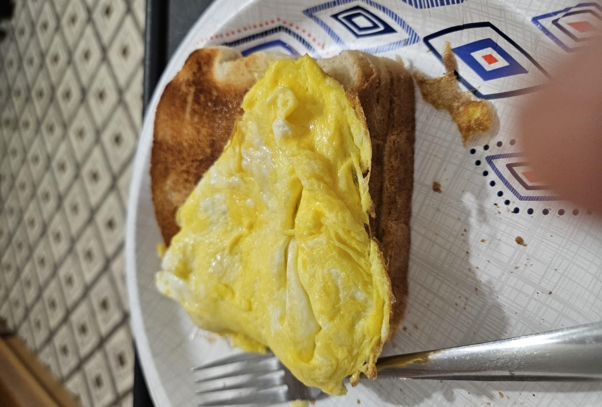 Scrambled eggs - student project