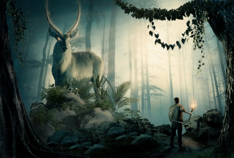 Deer photo manipulation