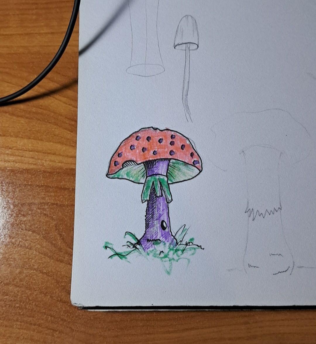 more-projects-from-class-img