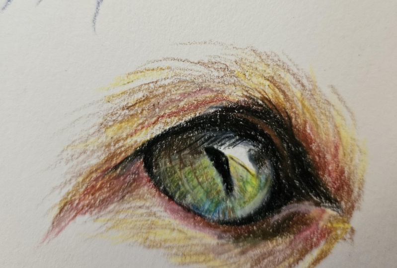 Cat eye