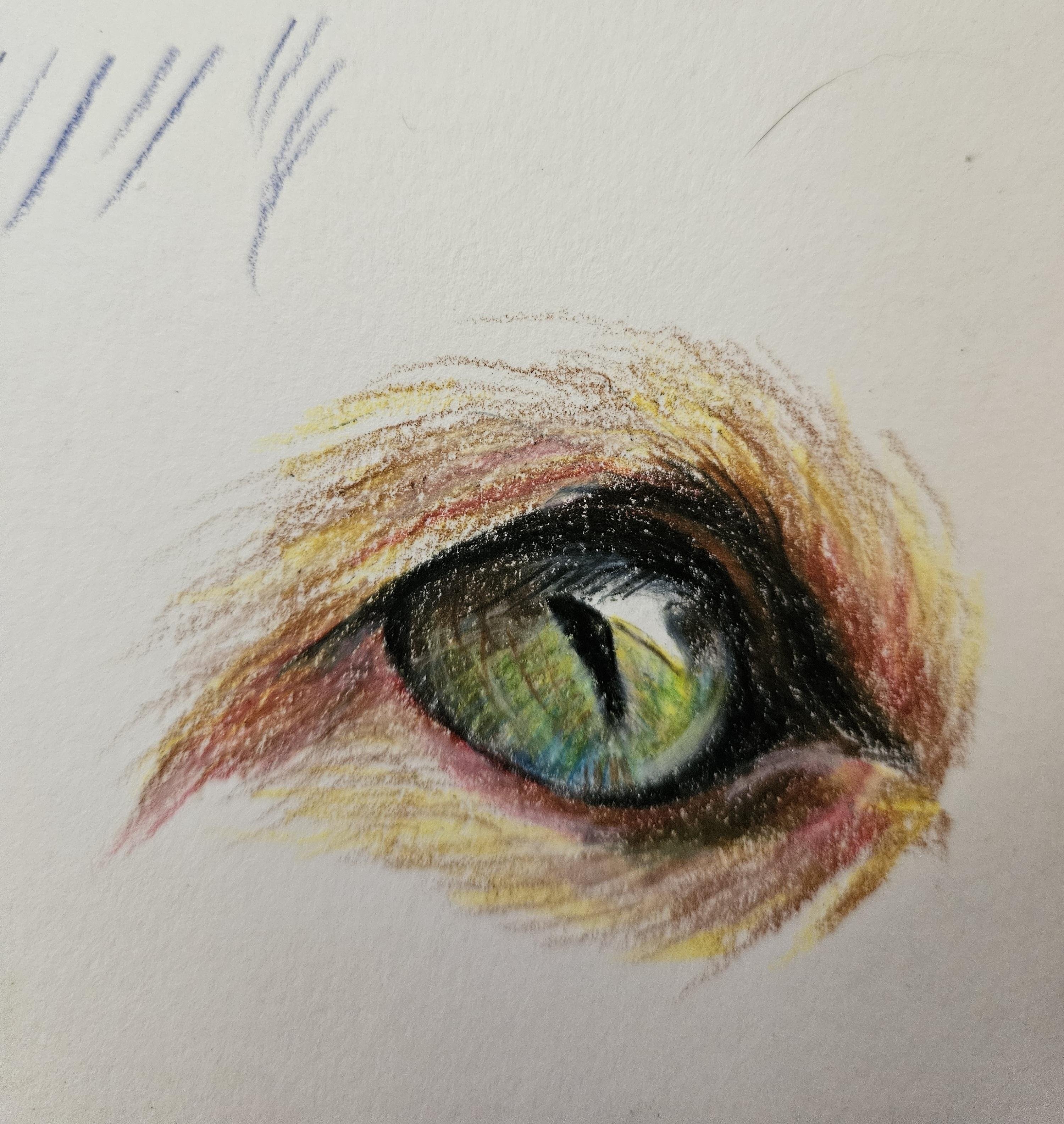 more-projects-from-class-img