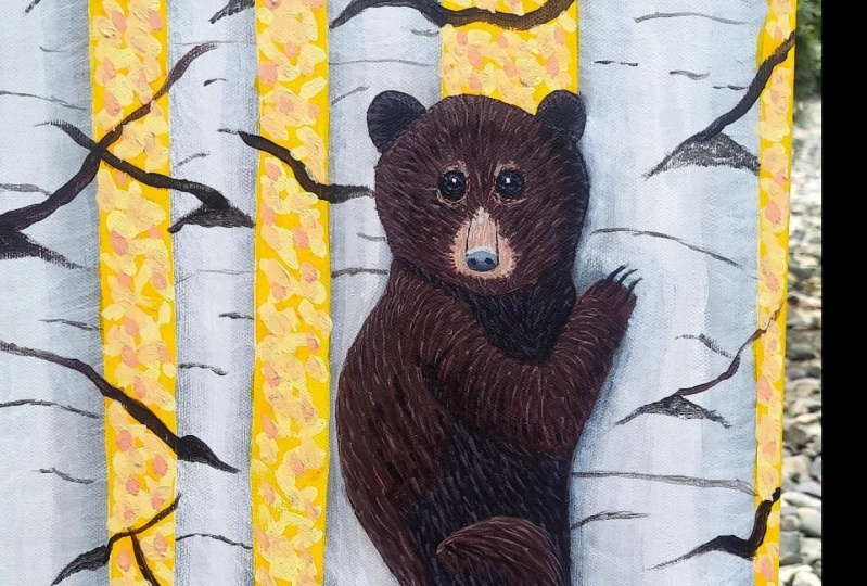 Curious Baby bear