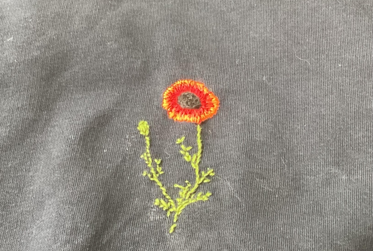 Poppy - student project
