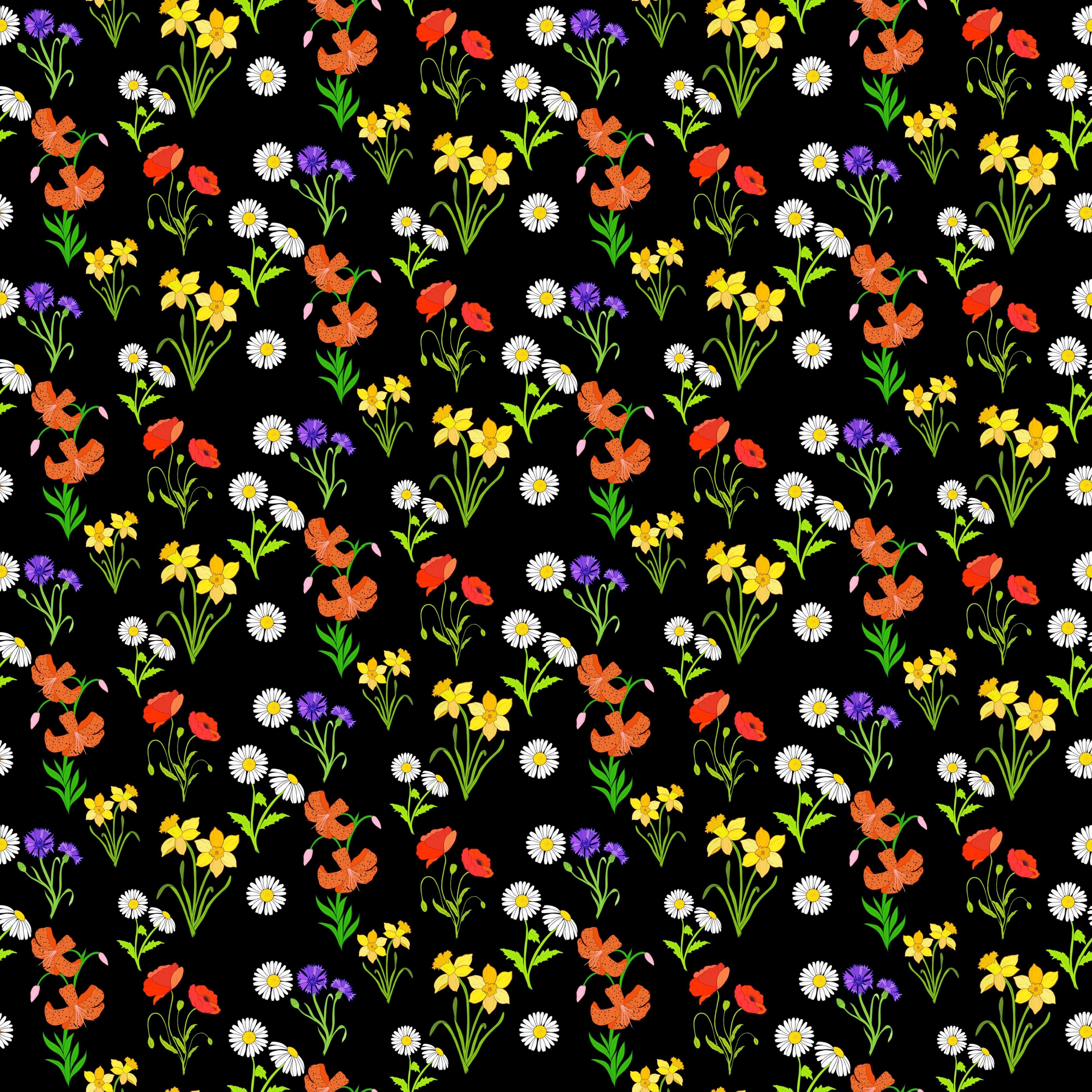 more-projects-from-class-img