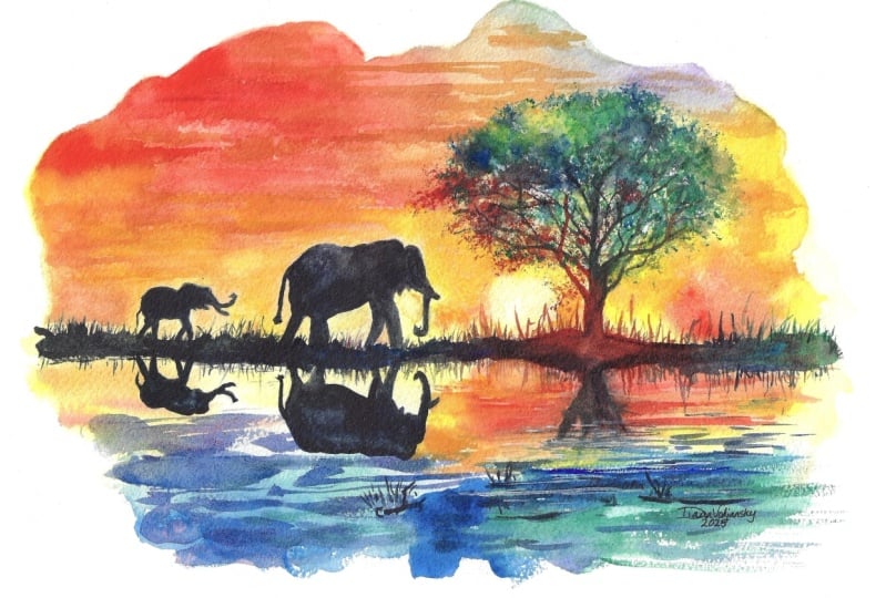 Sunset Safari
