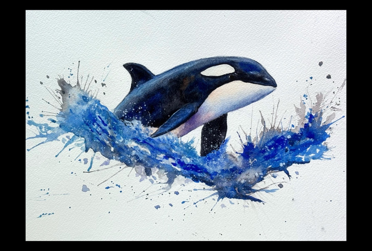 Majestic Orcas - student project