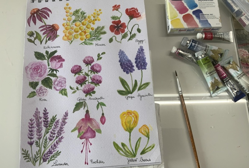Learn to paint 9 types of flore with watercolor