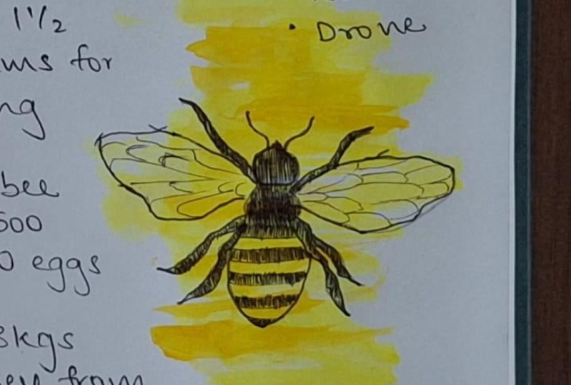 Wildlife Nature Journal