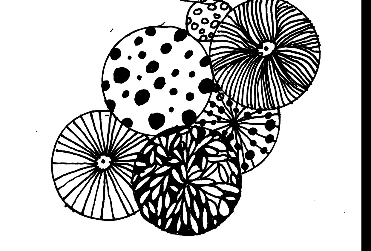 Practice Line drawing florals - student project