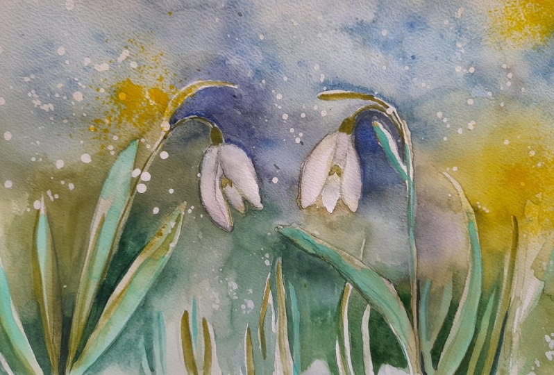 snowdrop