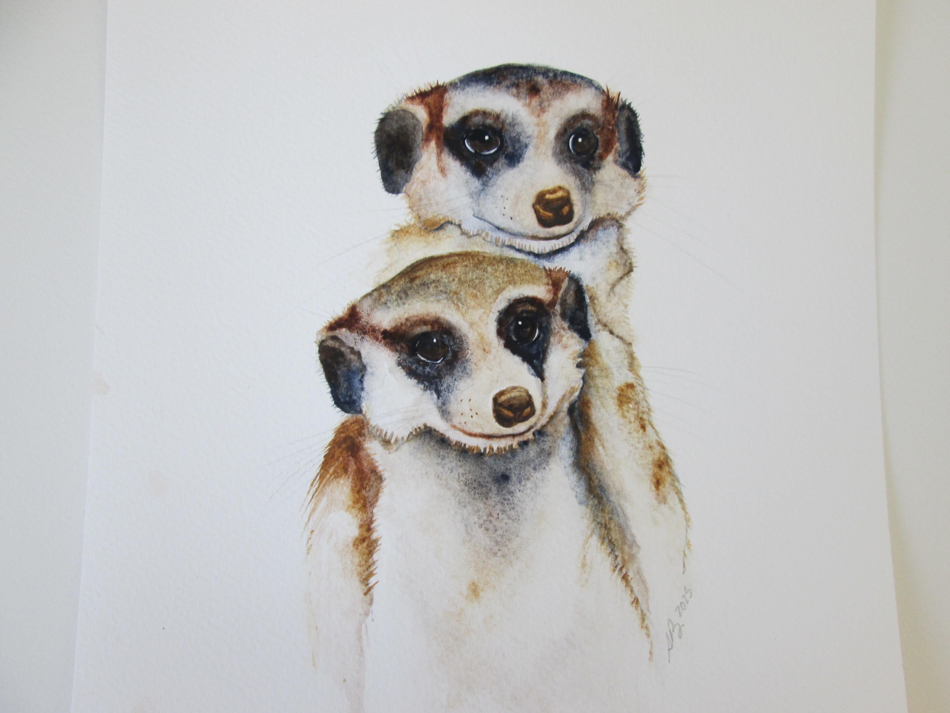 Meerkats - student project
