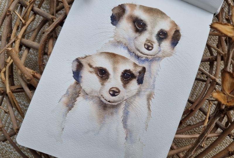 Erdmännchen