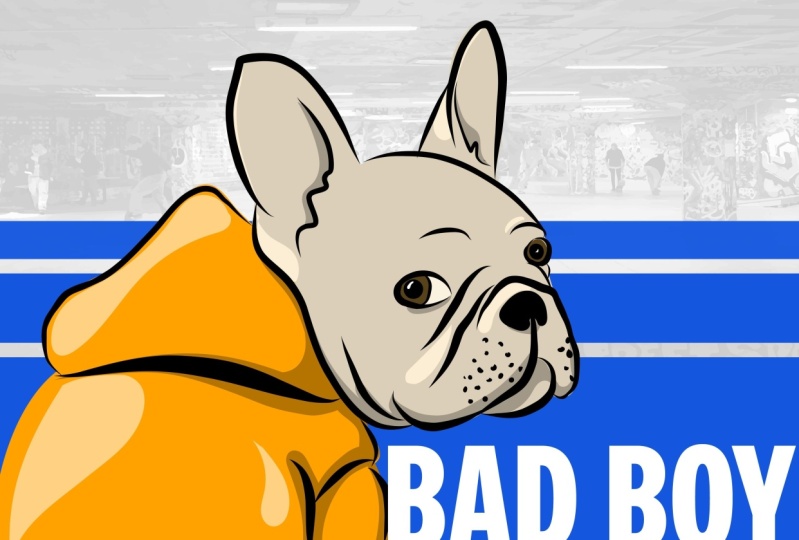 Bad boy