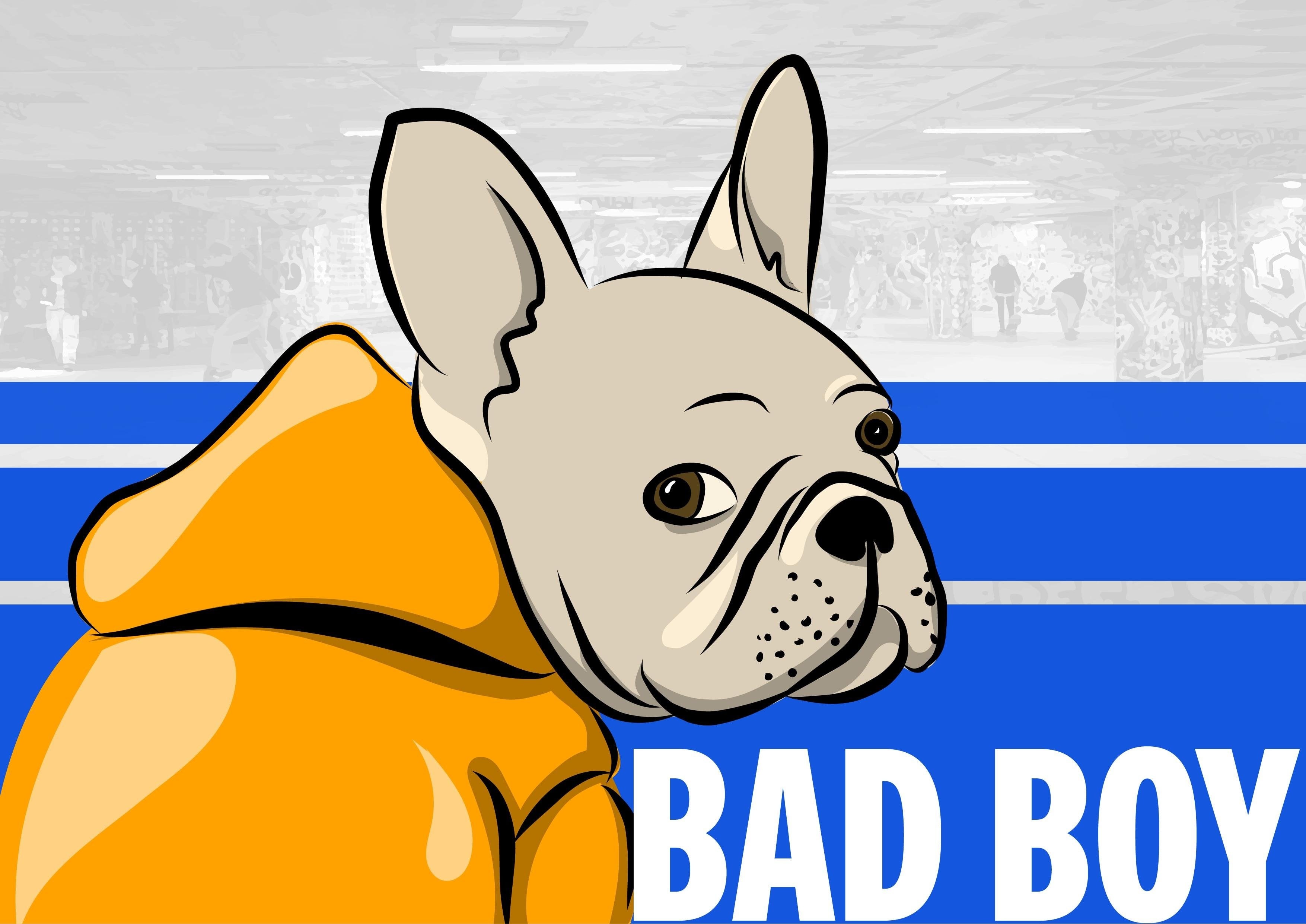 Bad boy - student project