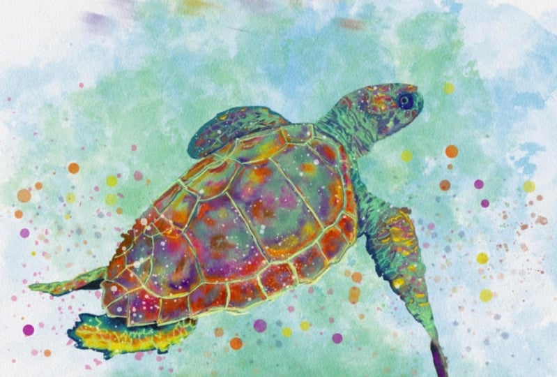 A turtle