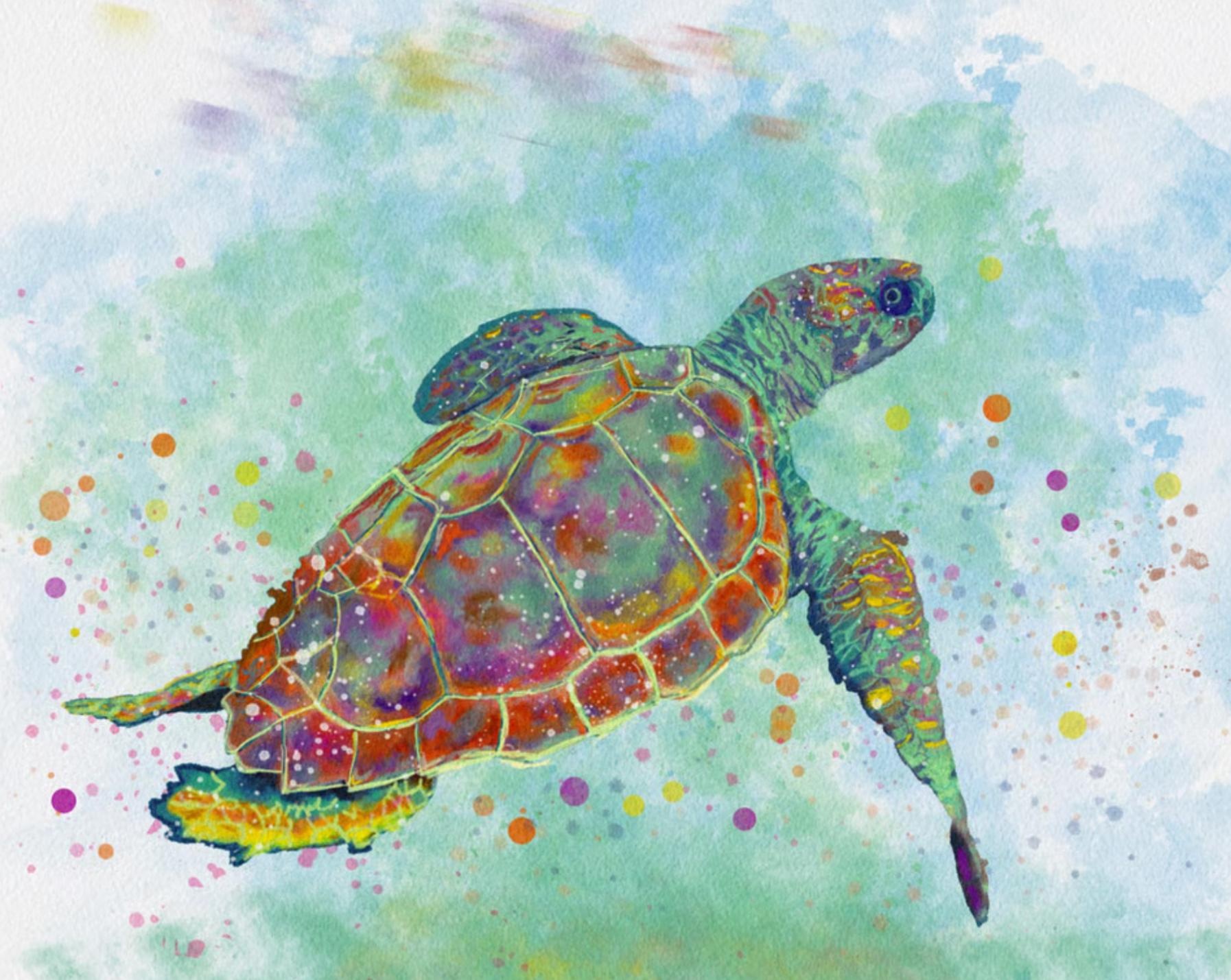 A turtle