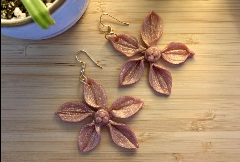 My first earrings