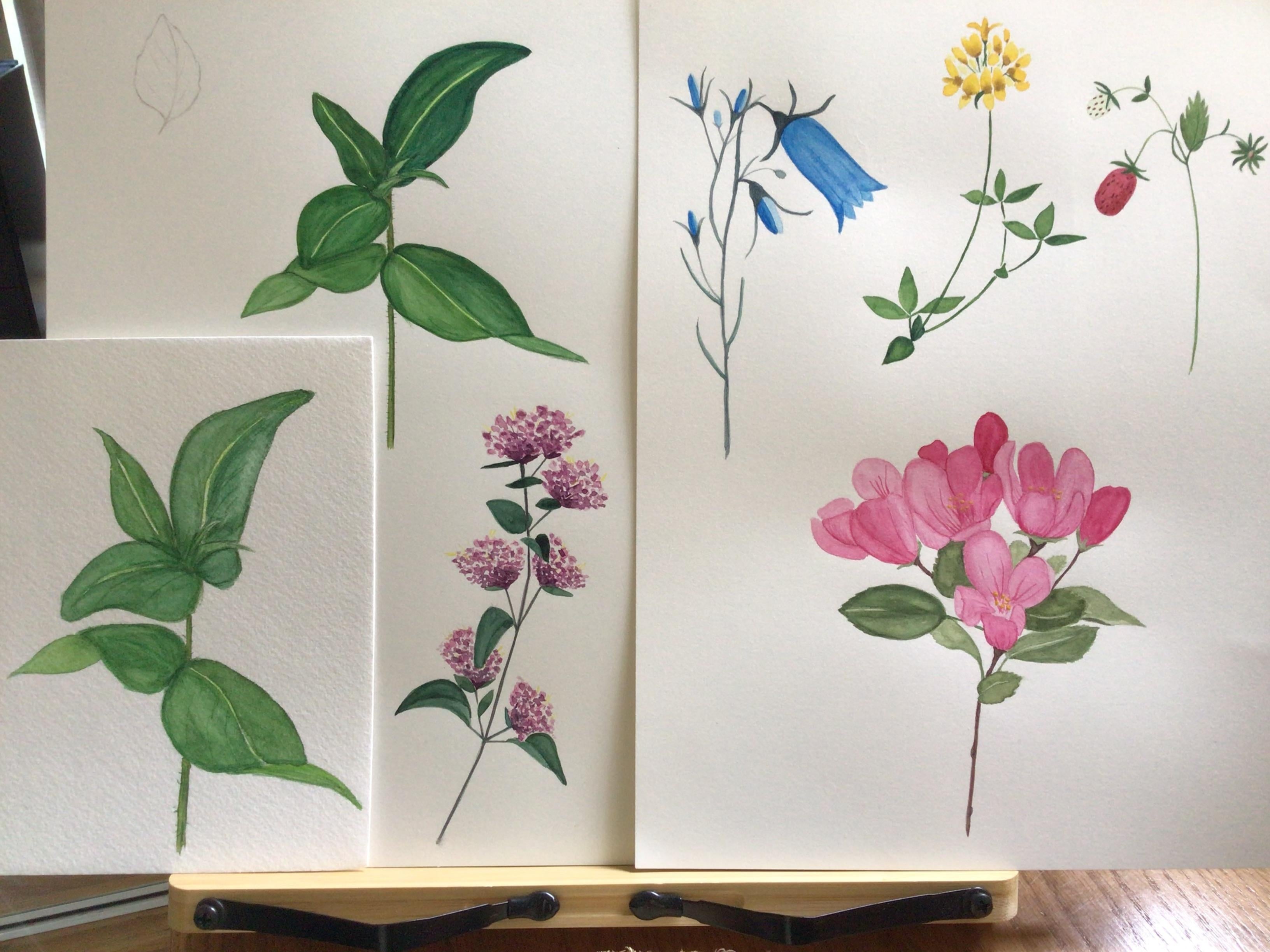 Watercolor Wildflower Practice - student project