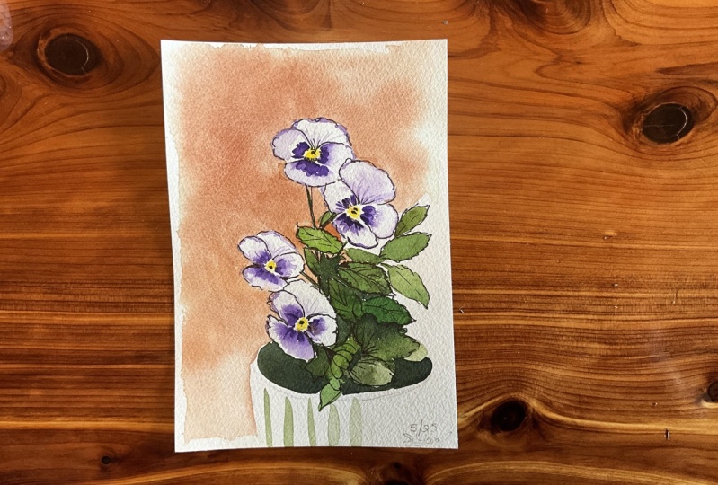 Ink and wash Pansies