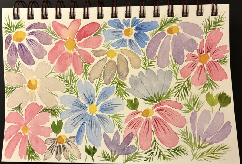 Cosmo flowers