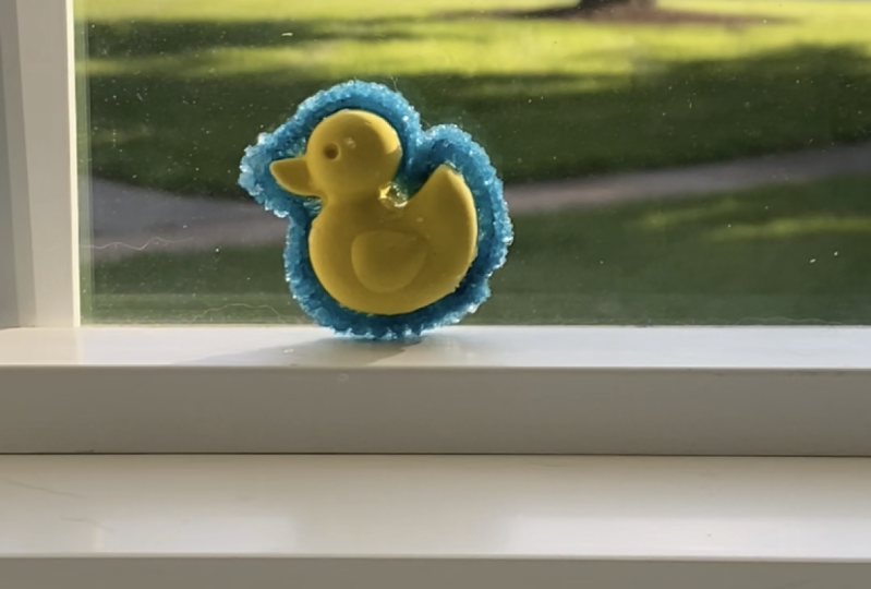 Mr Ducky in Crystal Lake