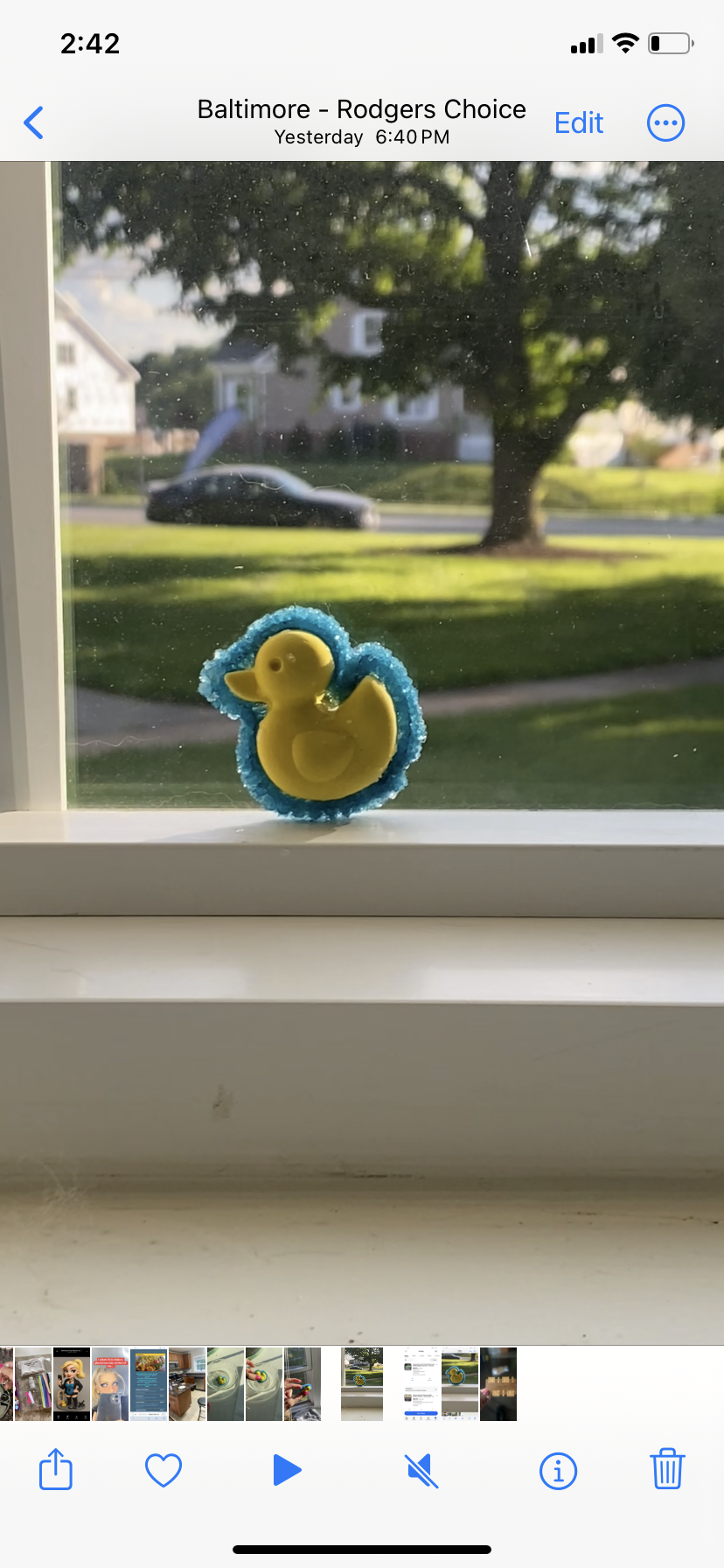Mr Ducky in Crystal Lake - student project