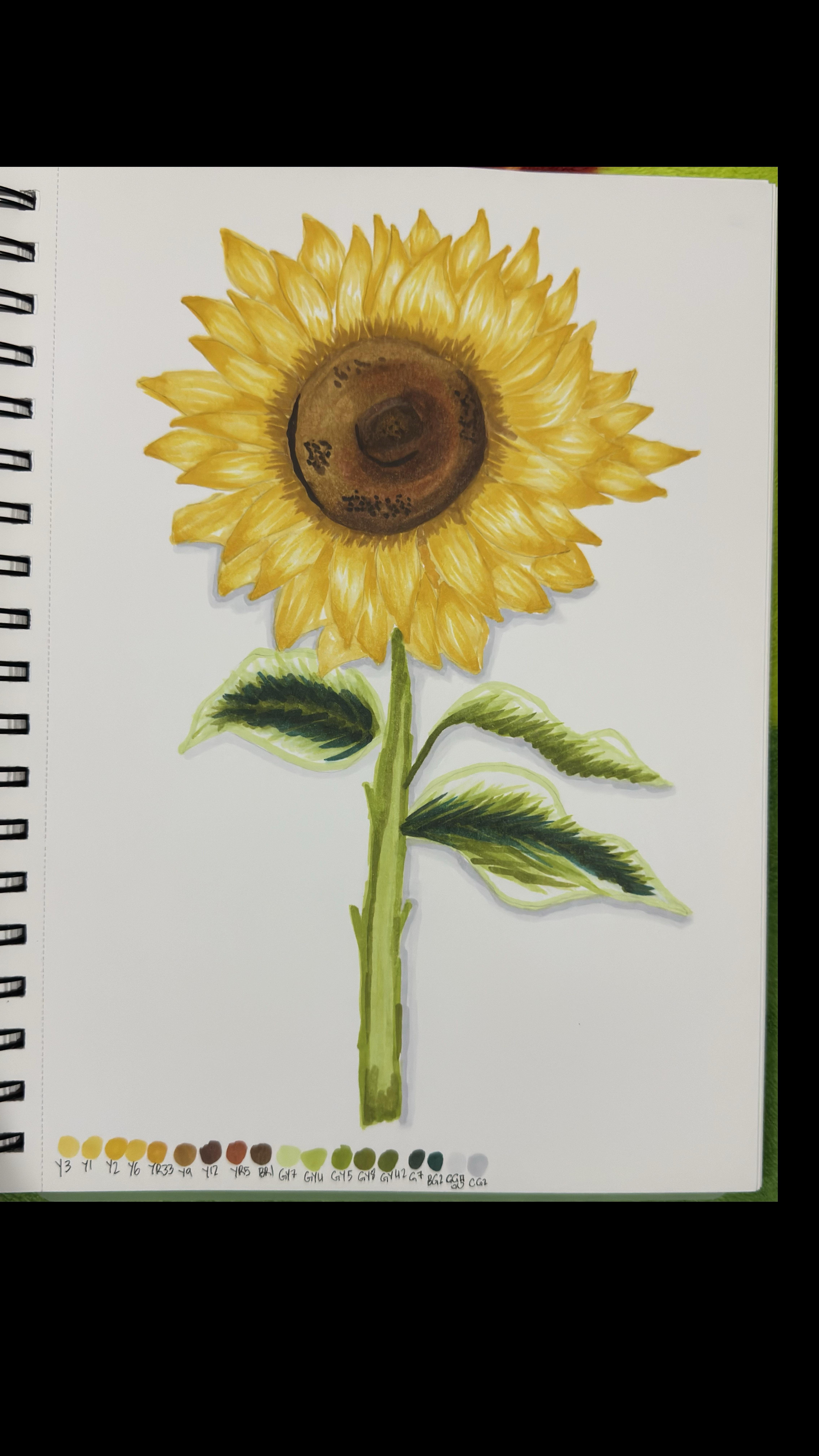 more-projects-from-class-img